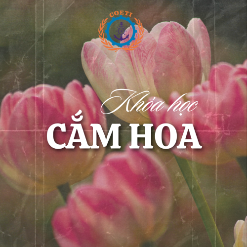 KHÓA HỌC CẮM HOA NGHỆ THUẬT TẠI HẢI PHÒNG