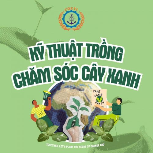 ky-thuat-cham-soc-cay-xanh