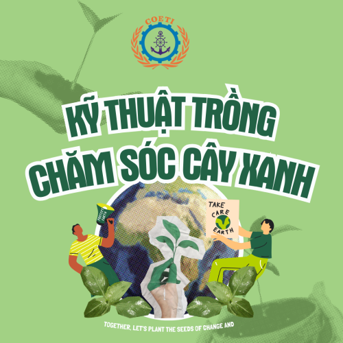 KỸ THUẬT TRỒNG CHĂM SÓC CÂY CẢNH